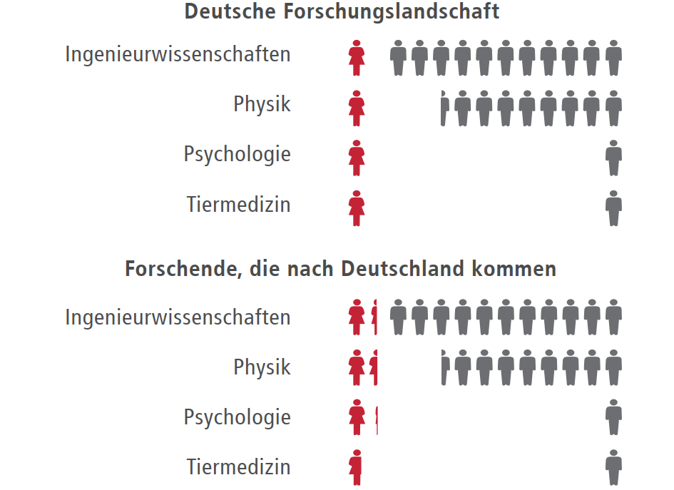 Geschlechterverhältnis in verschiedenen Forschungsfeldern